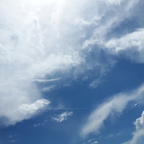  הופכים חלום למציאות - מקימים קהילת עסקים בשער הנגב