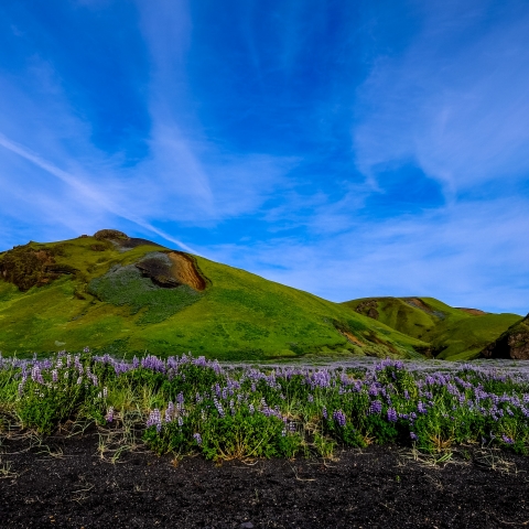הררים התלויים בשערה 