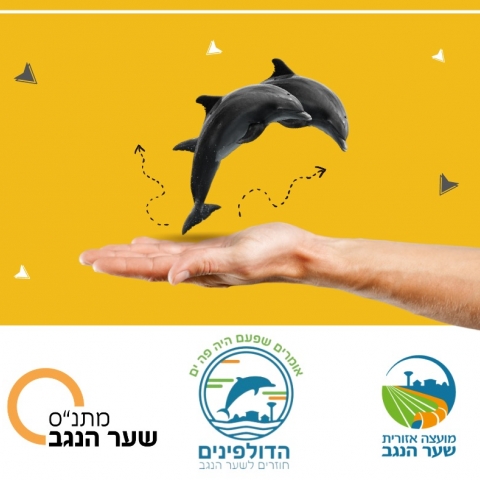 הדולפינים חוזרים לשער הנגב 