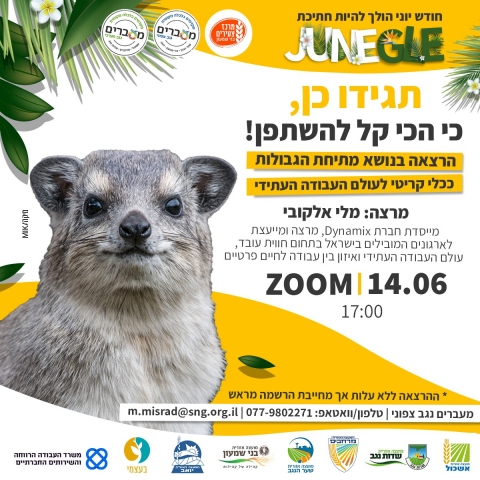 מה קורה לך בחיים כשאת/ה אומר כן במשך שנה וחצי? 