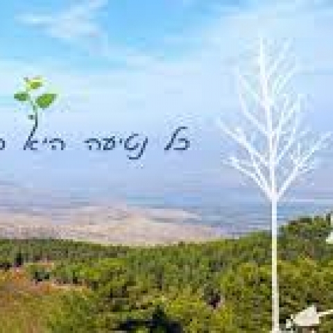 נטיעות קק"ל