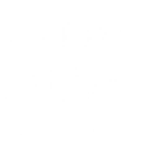 מיורי לבראשית
