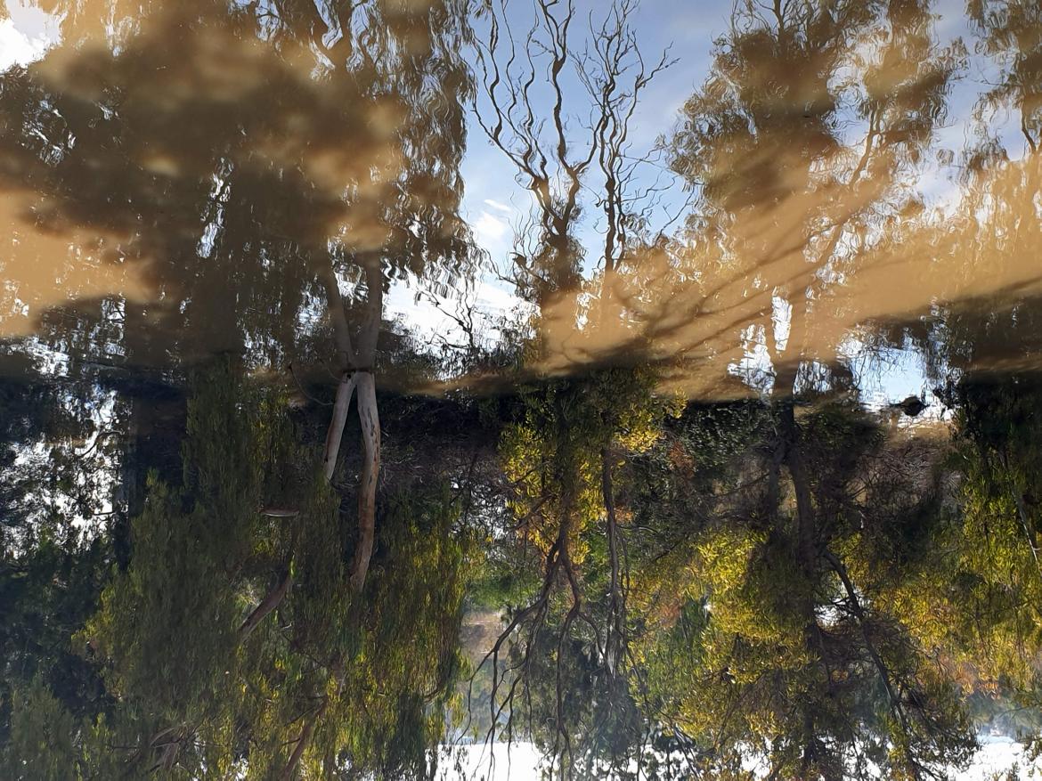 ביתמלאכה ומרכז צעירים בסדנת פוטותרפיה