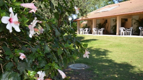 אווירה והמקום 3.JPG