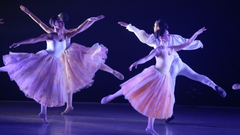 WhatsApp Image 2023-07-23 at 13.47.11.jpeg