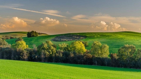 WhatsApp Image 2023-05-25 at 09.51.48.jpeg