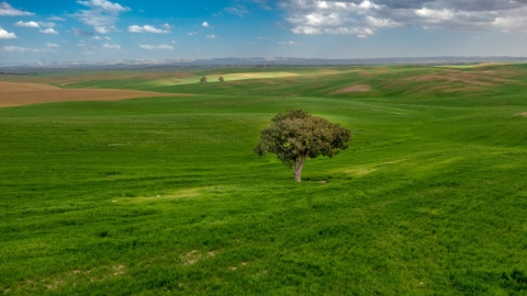 WhatsApp Image 2023-05-11 at 13.00.41.jpeg