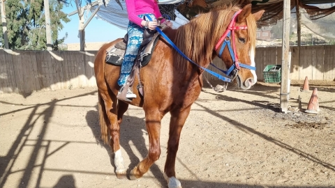 רכיבה טיפולית.jpeg