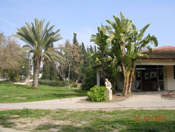 מפלסים 2