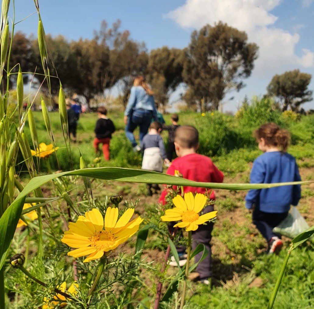 ספורט