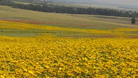 2011-04-09 14.09.04.jpg
