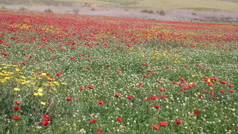 2011-04-09 14.19.53.jpg