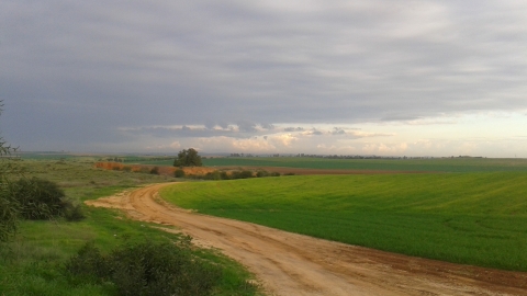 20141222_080517.jpg